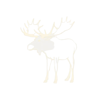 Moose wildlife silhouette in Banff landscape